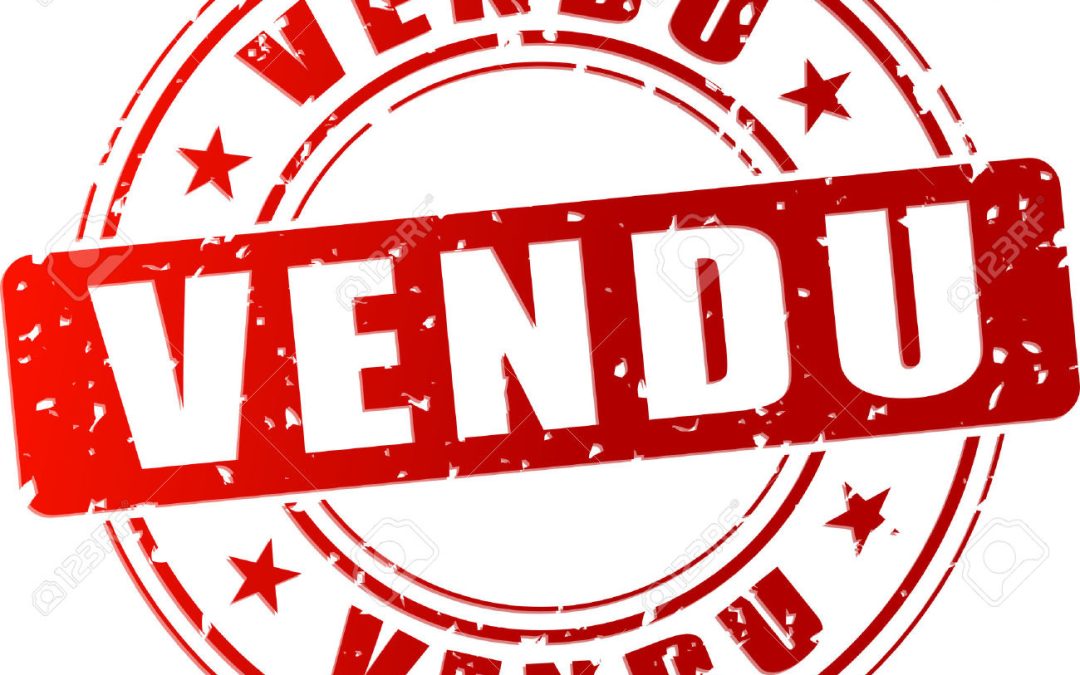 Vendu –  maison/villa –  5 pièces –   117m² – Sermérieu