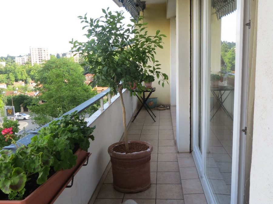 Vendu –  appartement –  3 pièces –   71.09m² – Sainte Foy lès Lyon