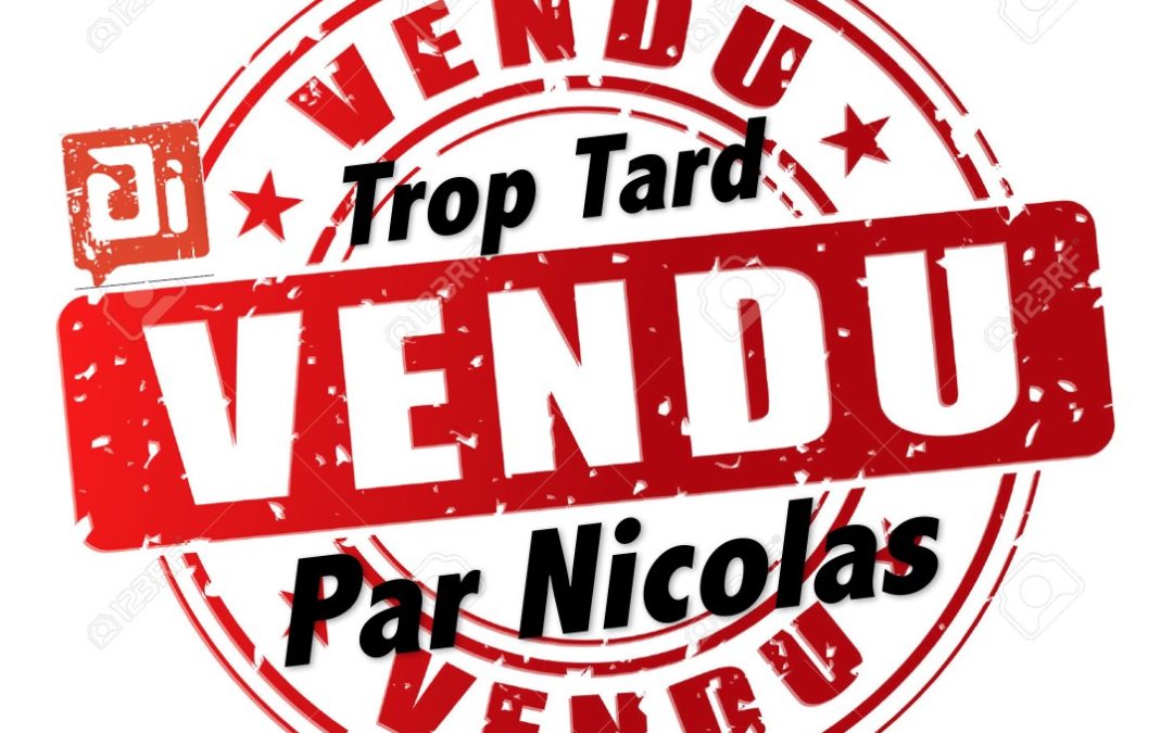 Vendu –  maison/villa –  6 pièces –   180m² – Annoisin-Chatelans