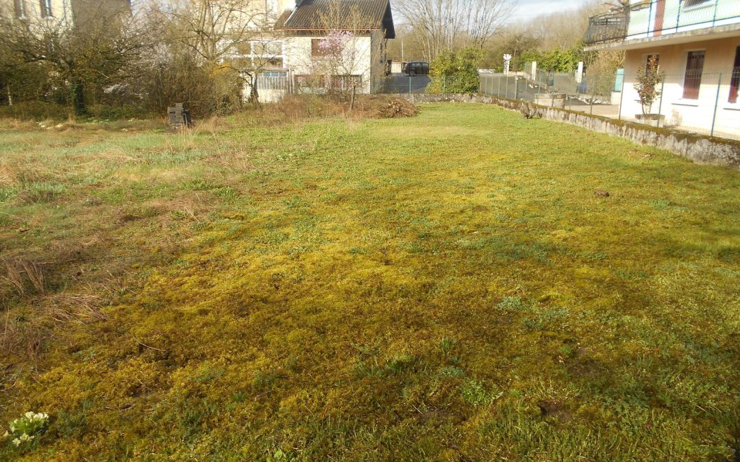 Vendu –  maison/villa –  5 pièces –   150m² – Pont-d’Ain