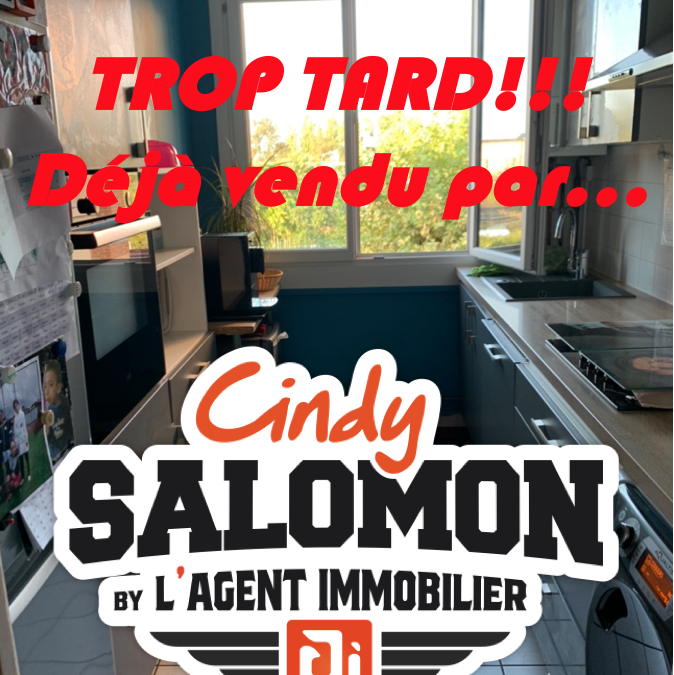 Vendu –  appartement –  3 pièces –   60m² – Saint-Fons