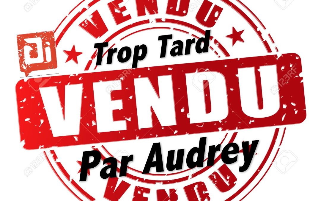 Vendu –  maison/villa –  7 pièces –   161m² – Vienne