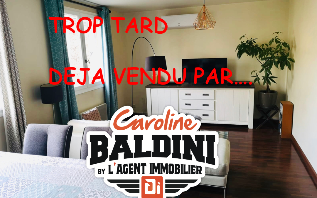 Vendu –  appartement –  4 pièces –   87m² – Villeurbanne