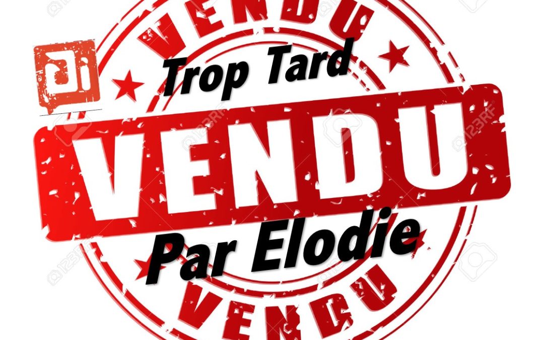 Vendu –  appartement –  2 pièces –   47m² – Villeurbanne